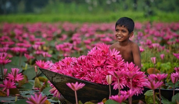 সাতলা বিল